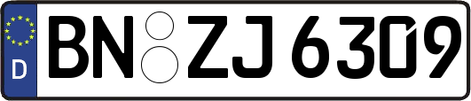 BN-ZJ6309