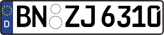 BN-ZJ6310