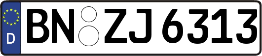 BN-ZJ6313