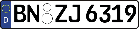 BN-ZJ6319