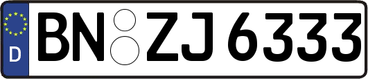 BN-ZJ6333