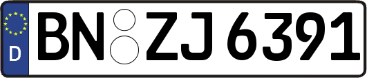 BN-ZJ6391