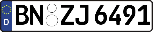 BN-ZJ6491
