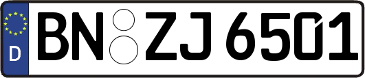BN-ZJ6501