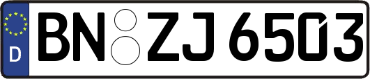 BN-ZJ6503