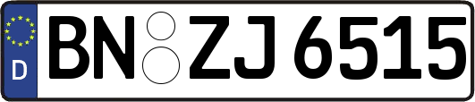 BN-ZJ6515