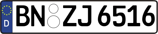 BN-ZJ6516