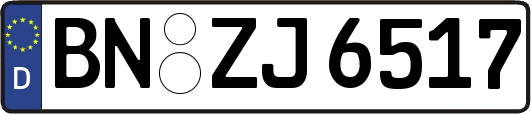 BN-ZJ6517