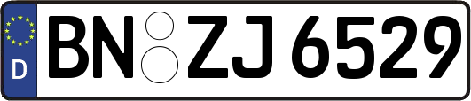BN-ZJ6529