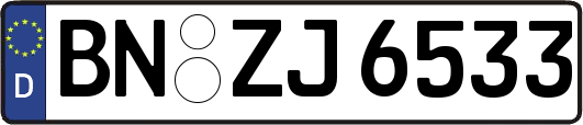 BN-ZJ6533