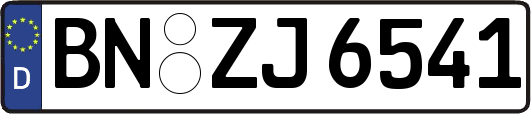 BN-ZJ6541