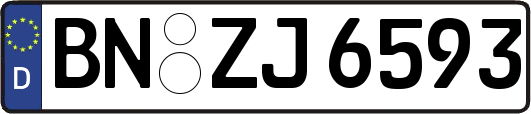BN-ZJ6593