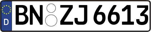 BN-ZJ6613