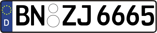 BN-ZJ6665