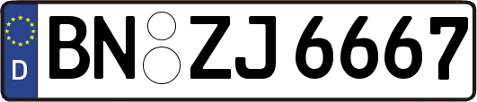 BN-ZJ6667