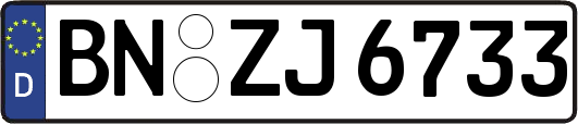 BN-ZJ6733