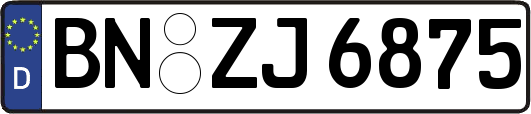 BN-ZJ6875