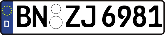 BN-ZJ6981