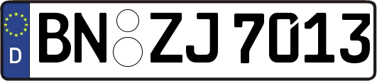 BN-ZJ7013