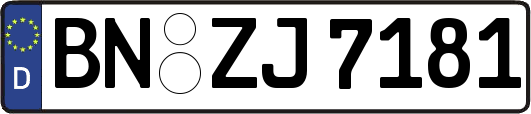 BN-ZJ7181