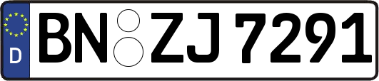 BN-ZJ7291