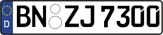 BN-ZJ7300