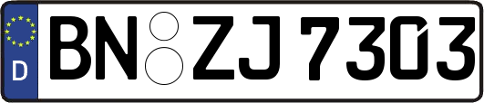 BN-ZJ7303