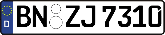 BN-ZJ7310