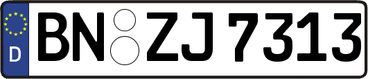 BN-ZJ7313