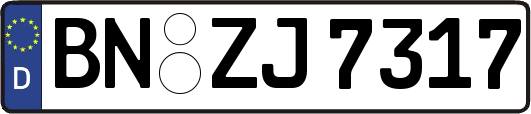 BN-ZJ7317