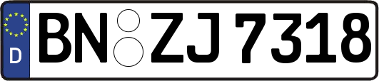 BN-ZJ7318