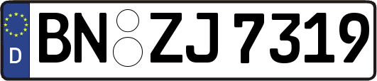 BN-ZJ7319