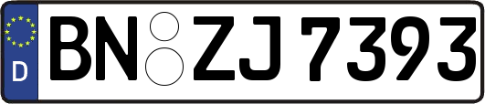 BN-ZJ7393