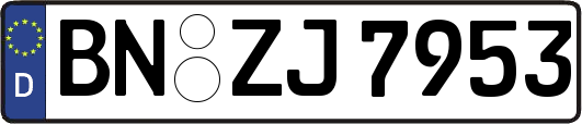 BN-ZJ7953