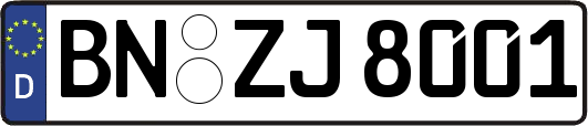 BN-ZJ8001