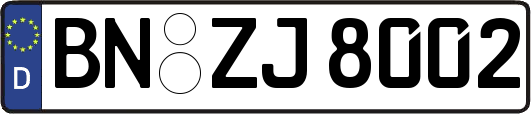 BN-ZJ8002