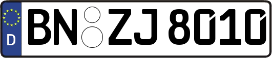 BN-ZJ8010