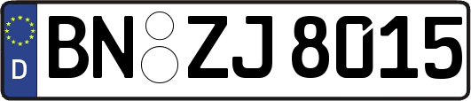 BN-ZJ8015