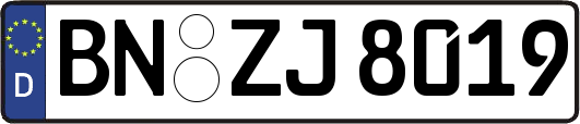 BN-ZJ8019