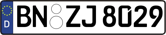 BN-ZJ8029