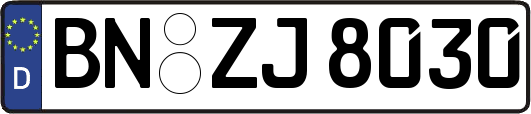 BN-ZJ8030