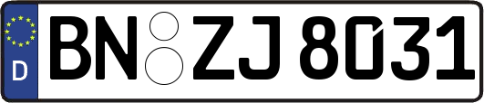 BN-ZJ8031
