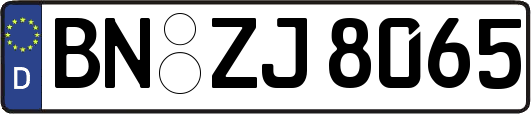 BN-ZJ8065