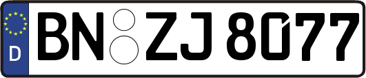 BN-ZJ8077