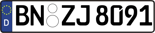 BN-ZJ8091