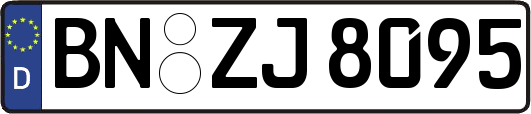 BN-ZJ8095