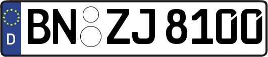 BN-ZJ8100