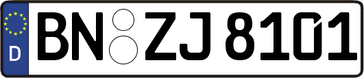 BN-ZJ8101