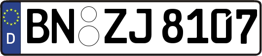BN-ZJ8107