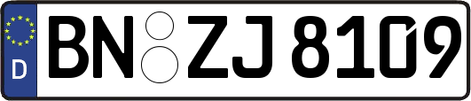 BN-ZJ8109